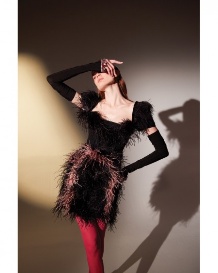 Feather Appliques Dress